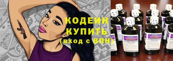 ешки Осинники