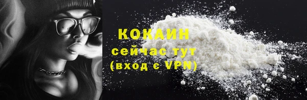 ешки Осинники